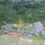 20140403_134132.jpg